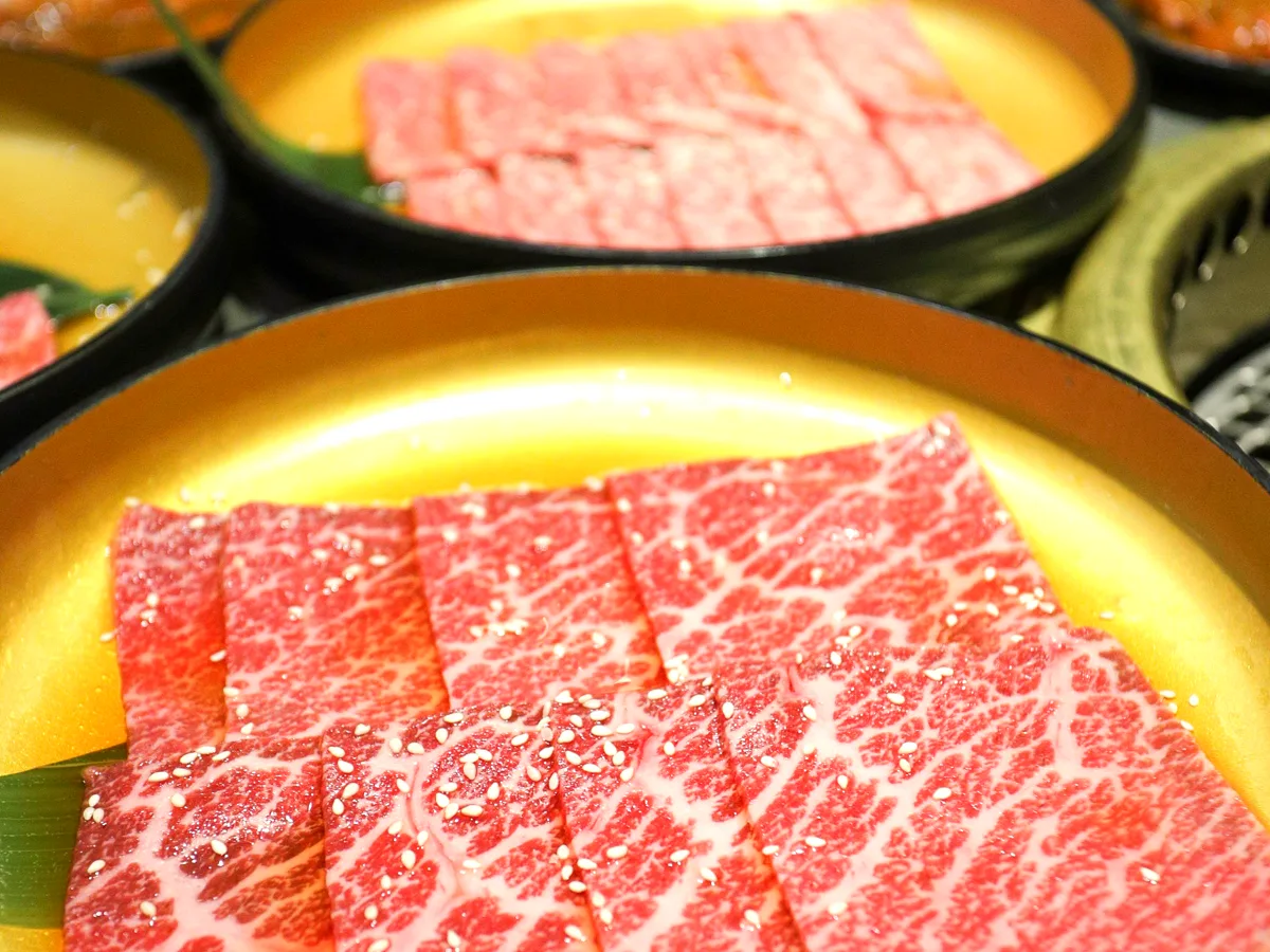 Prime Ribeye Slices