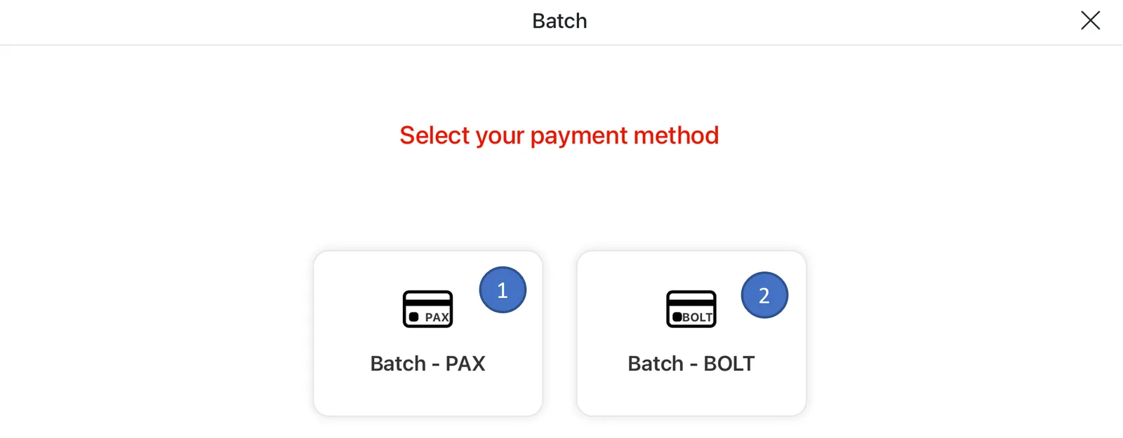 Adoluna POS screen – Batch Device Type (Credit Card Transaction Management: Access Credit Card Transaction Management)
