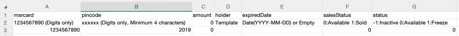 Gift card import spreadsheet format with msrcard, pincode, amount, holder, expiredDate, salesStatus and status columns